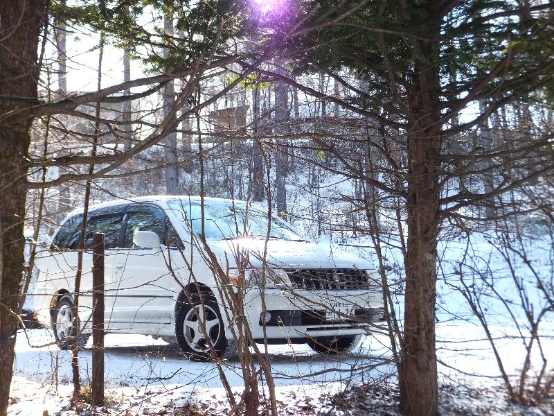 �V���N�}�y�c at Home