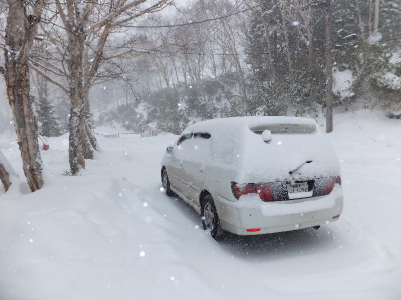 �V���N�}�y�c at Home