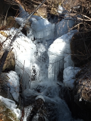 �V���N�}�y�c at Home