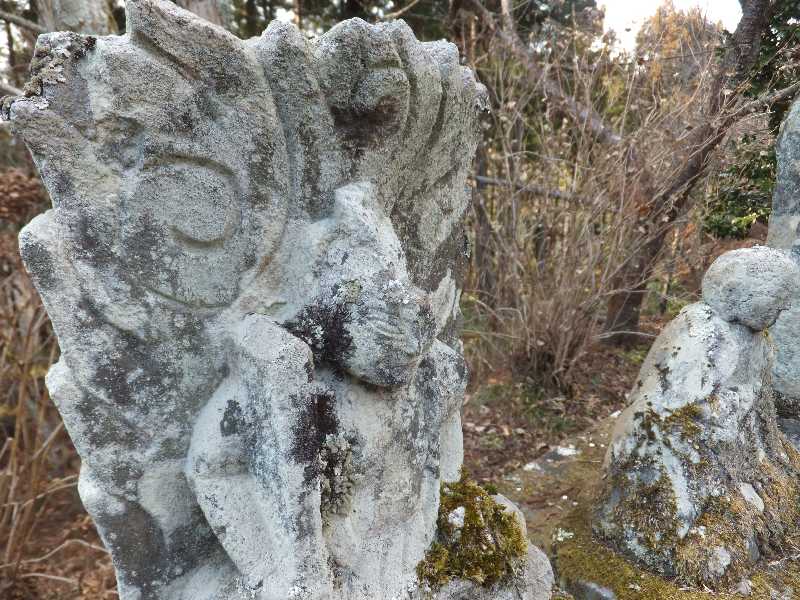 �V���N�}�y�c at Home