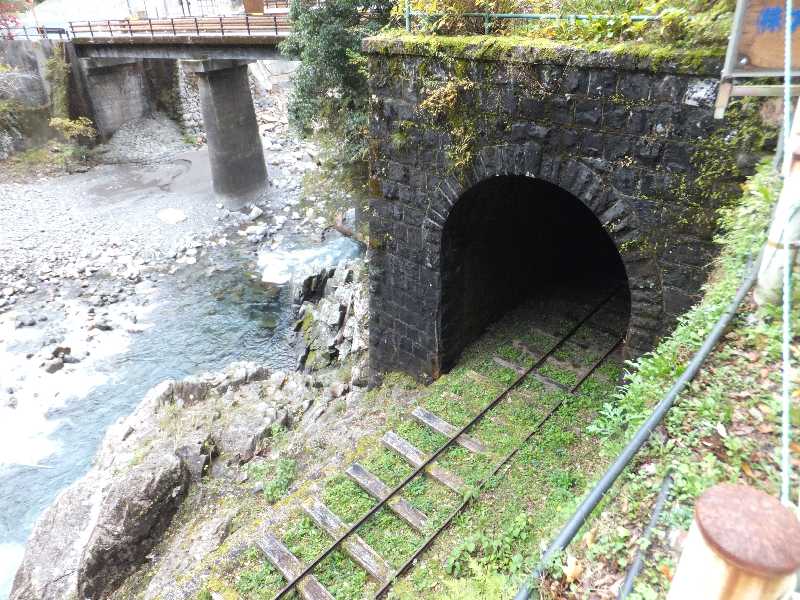 �V���N�}�y�c at Home