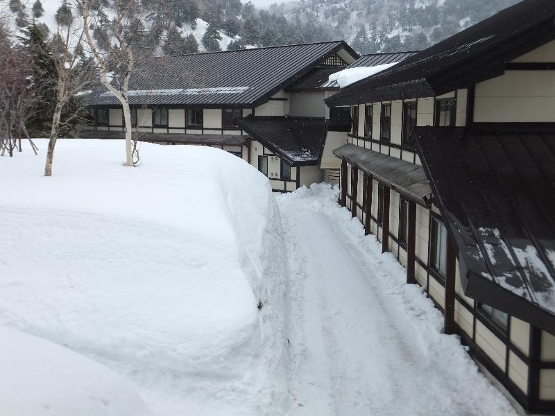 �V���N�}�y�c at Home