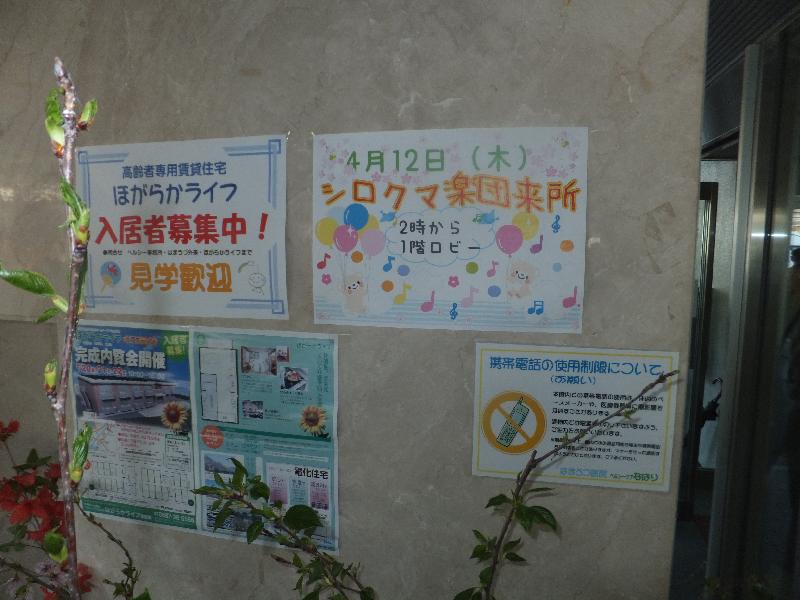 �V���N�}�y�c at Home