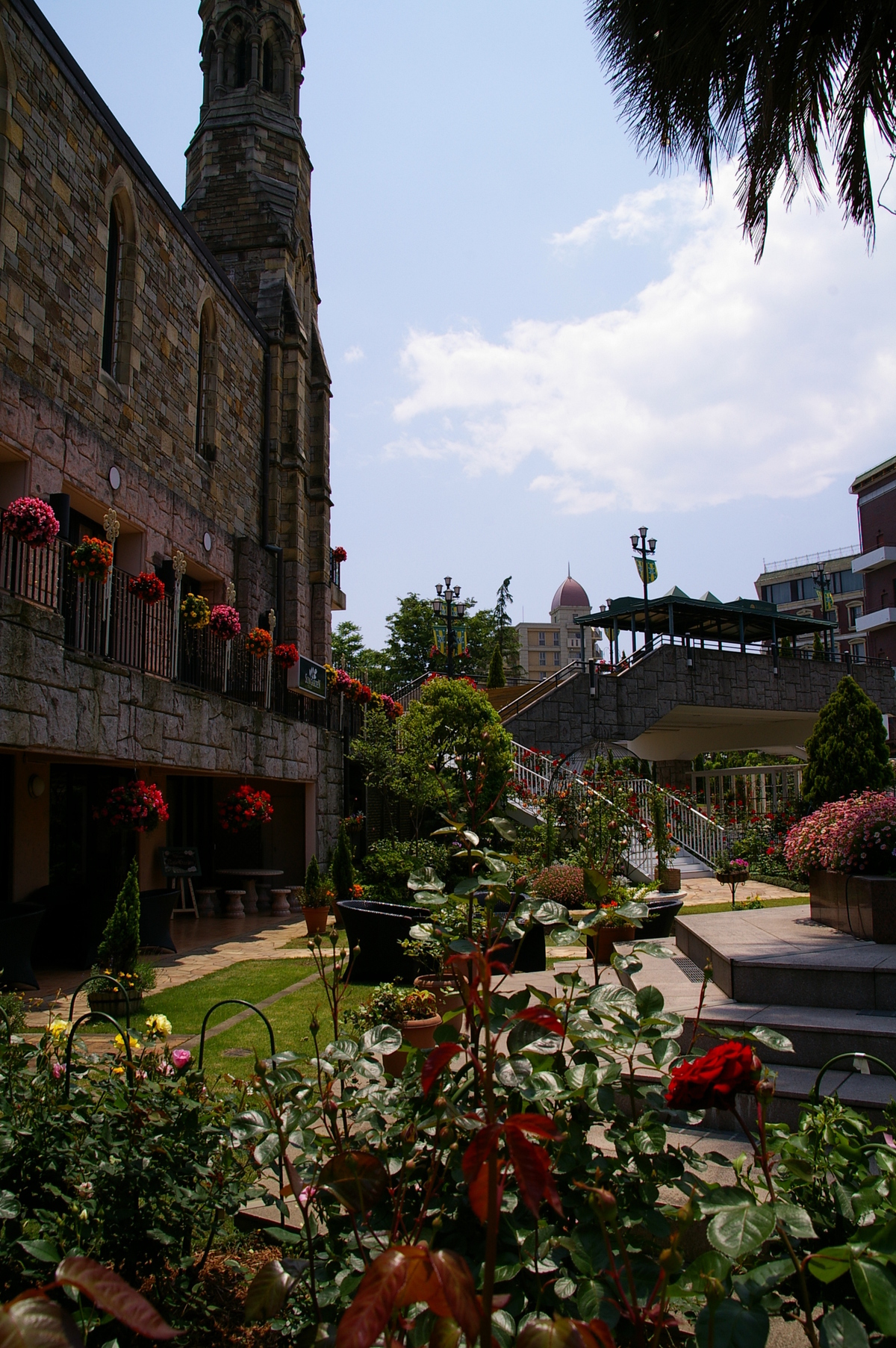 �V���N�}�y�c at Home