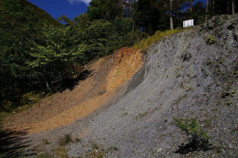 �V���N�}�y�c at Home