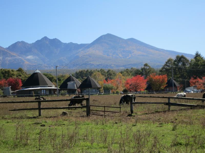 �V���N�}�y�c at Home