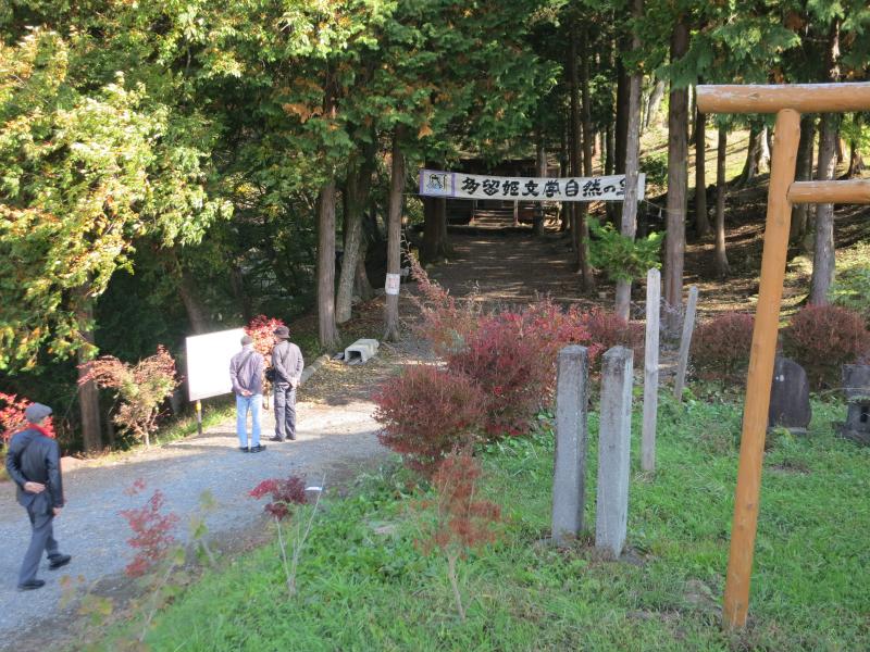 �V���N�}�y�c at Home