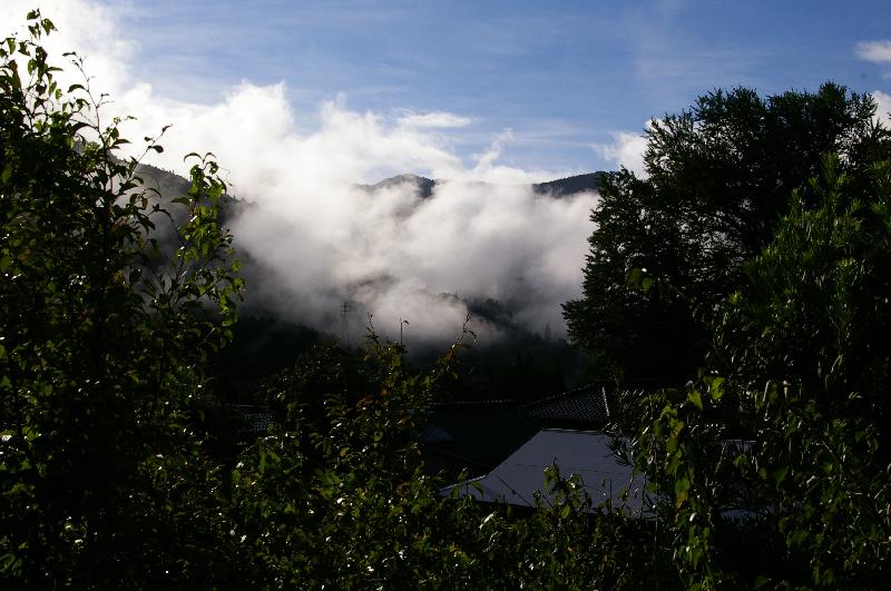 �V���N�}�y�c at Home