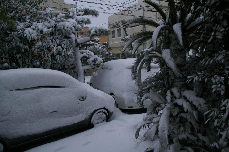 �V���N�}�y�c at Home