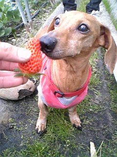 �E�b�Y�̉Ɓ@U�OT�OU