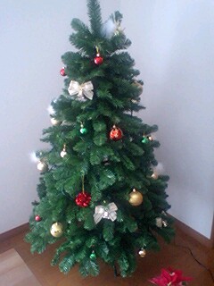 �E�b�Y�̉Ɓ@U�OT�OU