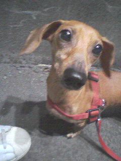 �E�b�Y�̉Ɓ@U�OT�OU