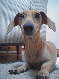 �E�b�Y�̉Ɓ@U�OT�OU