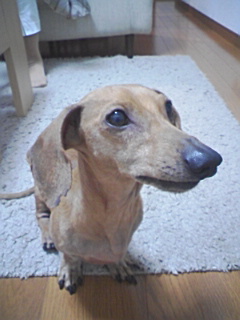 �E�b�Y�̉Ɓ@U�OT�OU