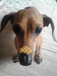 �E�b�Y�̉Ɓ@U�OT�OU