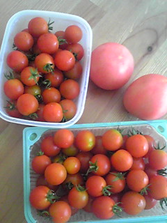 �E�b�Y�̉Ɓ@U�OT�OU