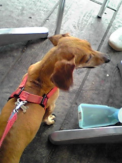 �E�b�Y�̉Ɓ@U�OT�OU