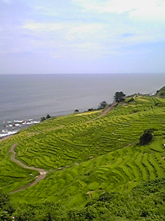 �E�b�Y�̉Ɓ@U�OT�OU