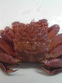 �E�b�Y�̉Ɓ@U�OT�OU