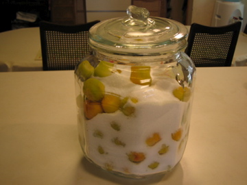 �Ƃ������̃L�b�`��