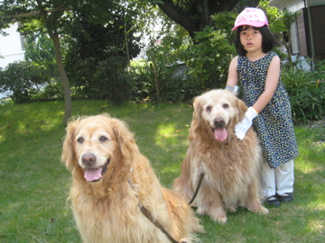 �Ƃ������̃L�b�`��