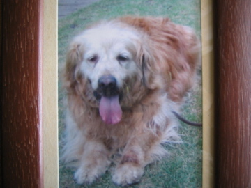 �Ƃ������̃L�b�`��