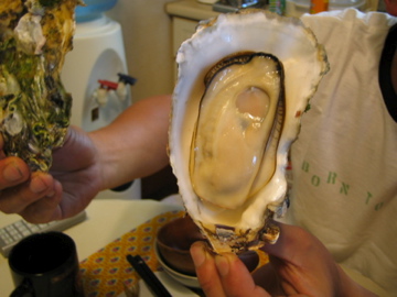 �Ƃ������̃L�b�`��