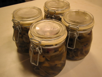 �Ƃ������̃L�b�`��