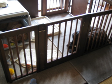 �Ƃ������̃L�b�`��