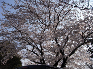 �Ƃ������̃L�b�`��