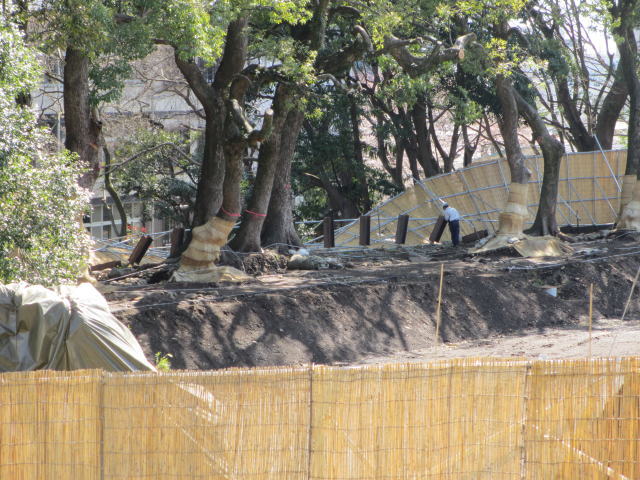 ���c���܂����邫�̃X�X���I�I