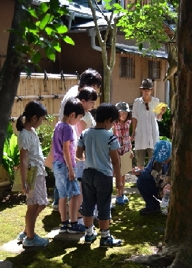 ���c���܂����邫�̃X�X���I�I