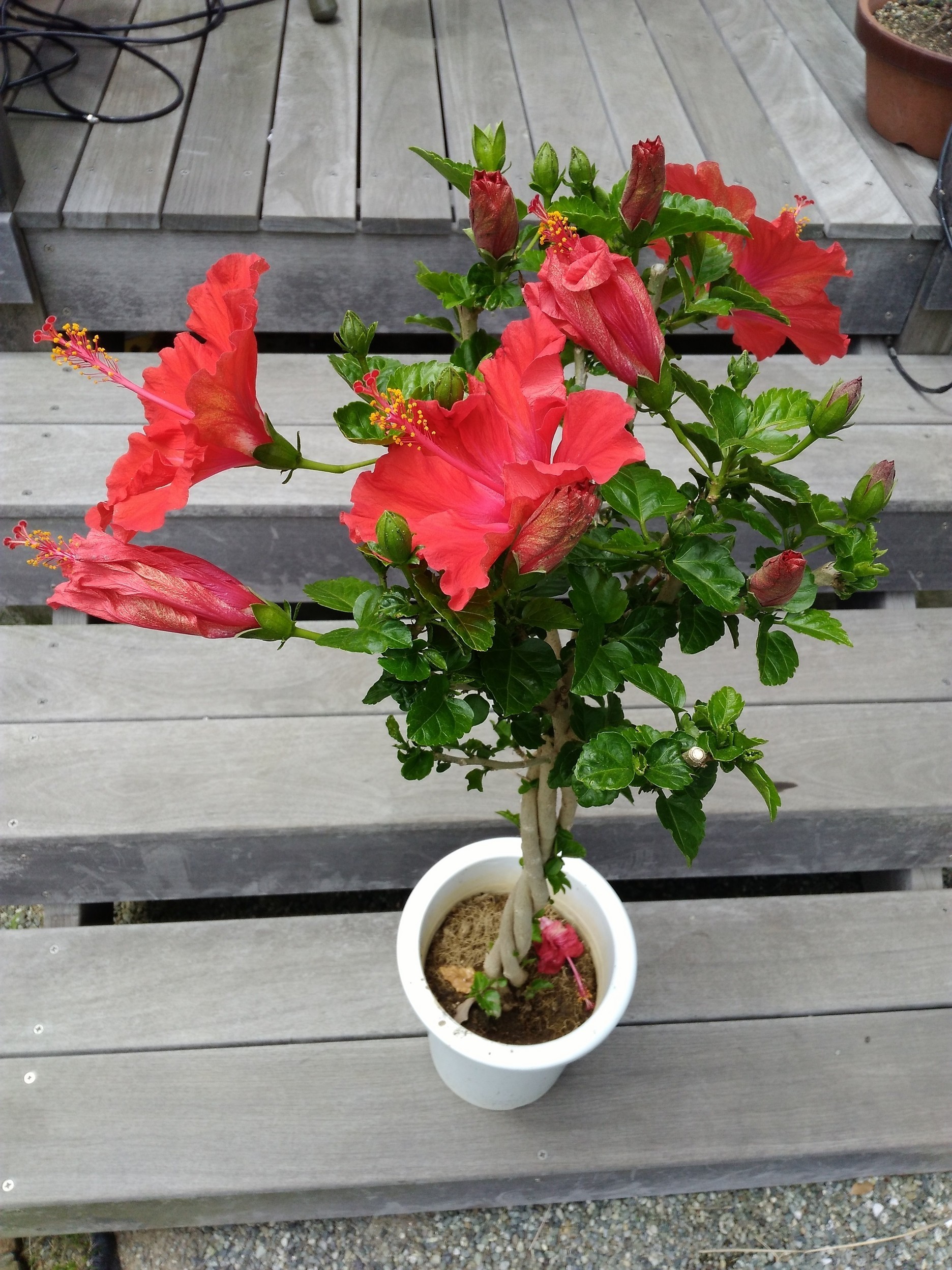 ��[���A�ۂ���I