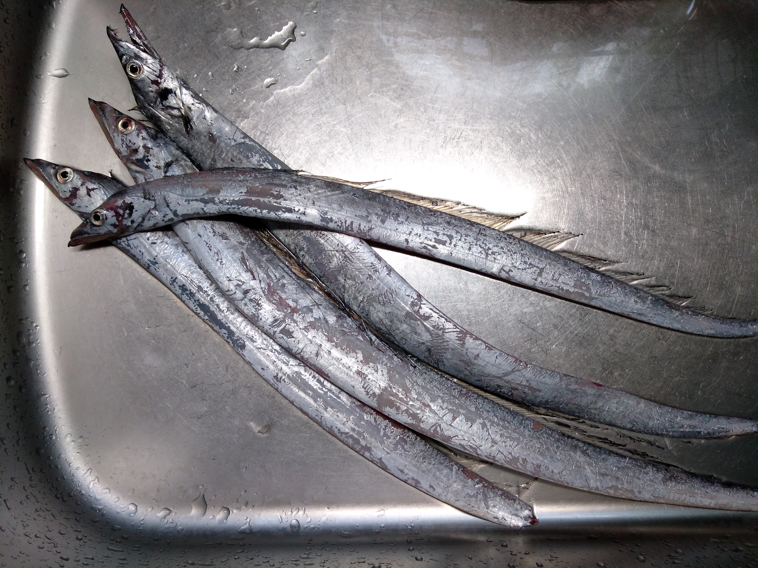 ��[���A�ۂ���I