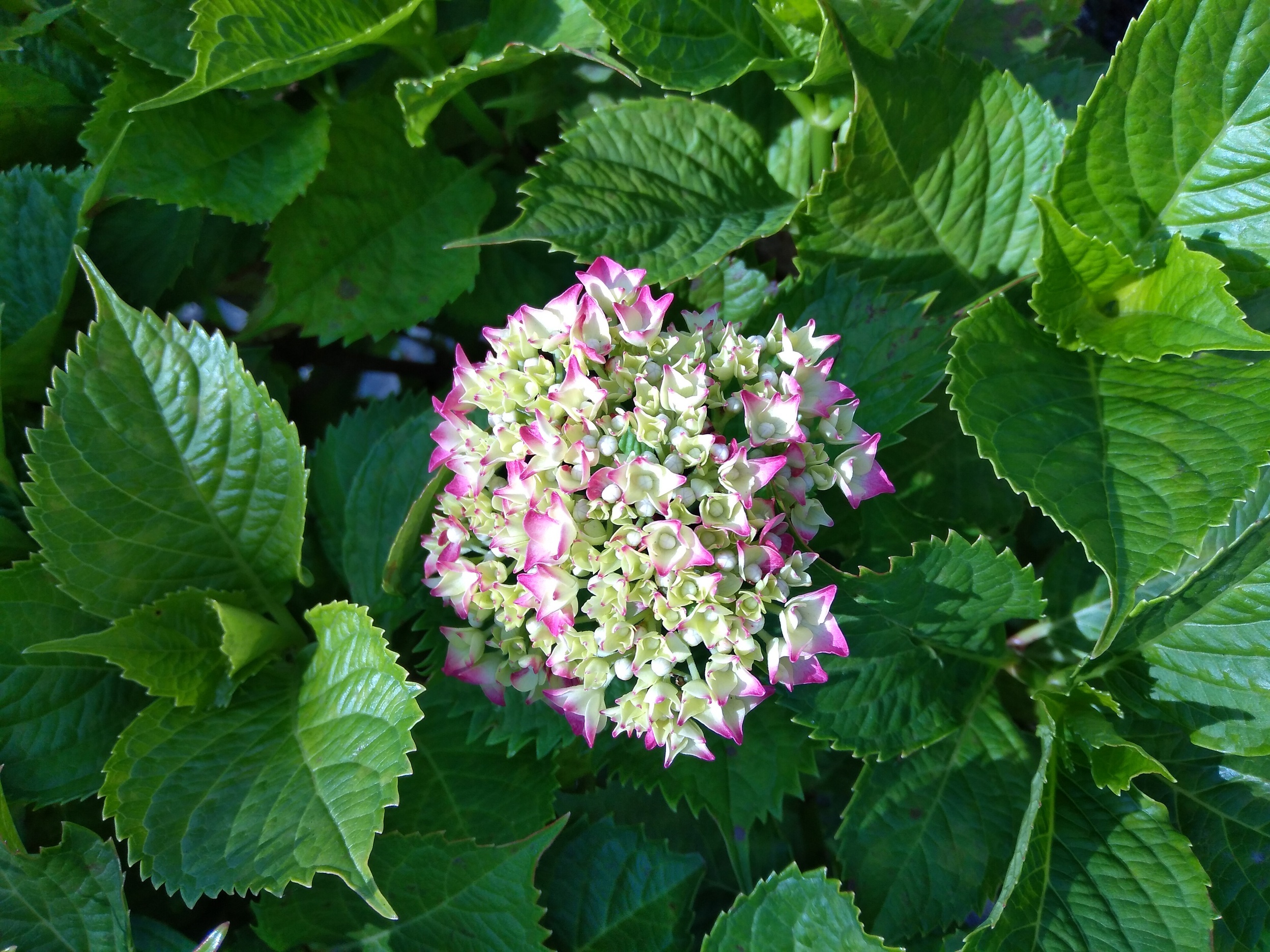 ��[���A�ۂ���I