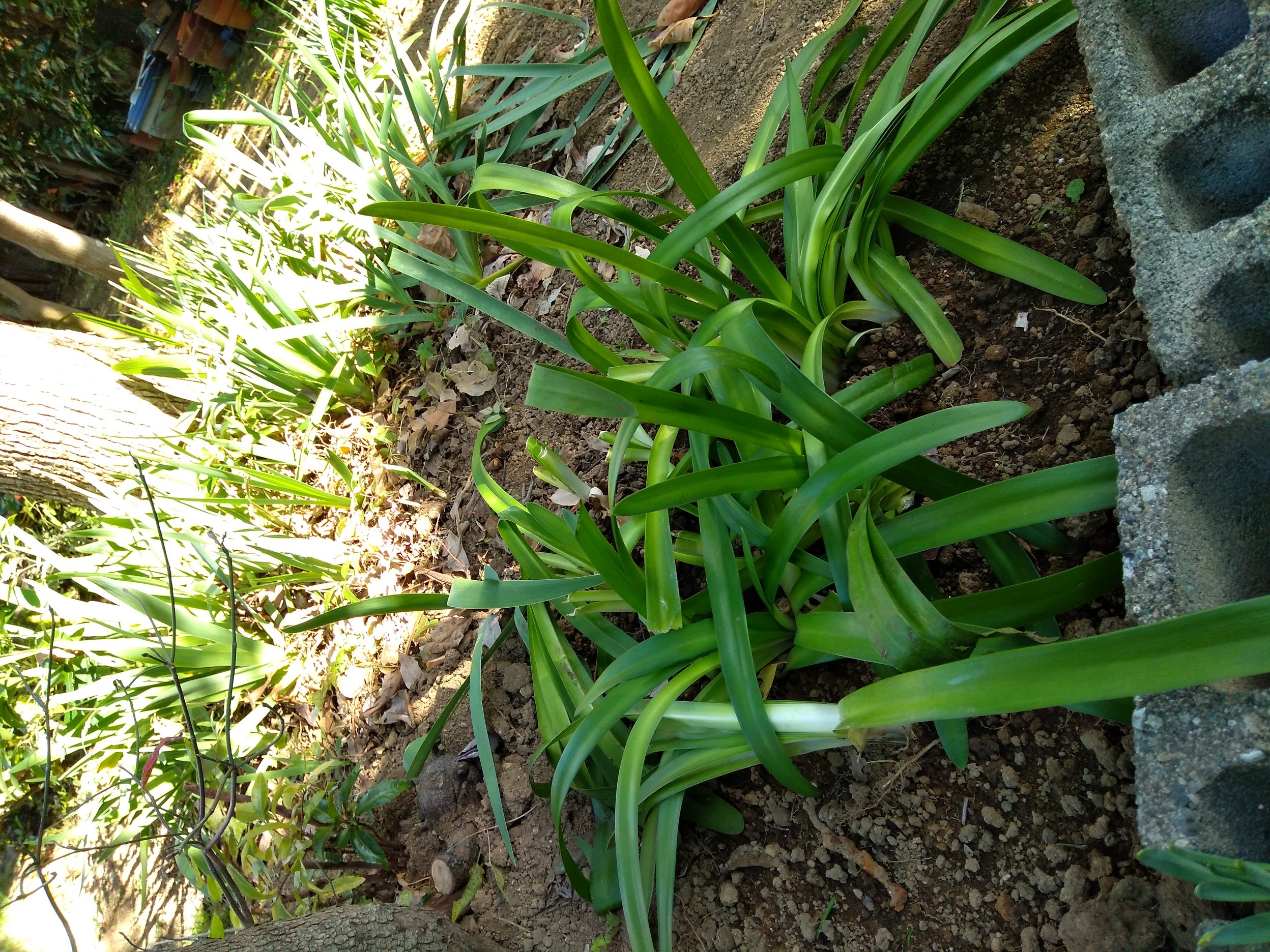 ��[���A�ۂ���I