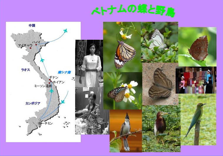 �ɓ������̎��R�ώ@��