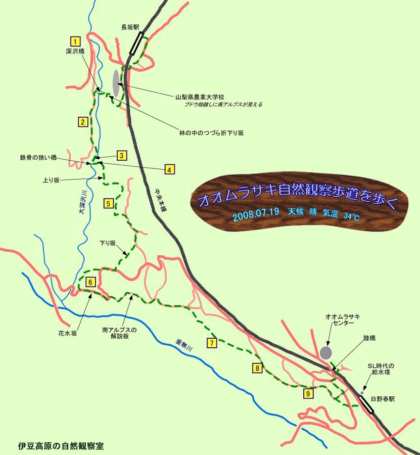 �ɓ������̎��R�ώ@��