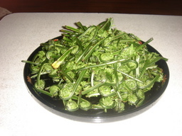 �������������[��