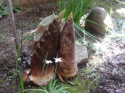 �������������[��