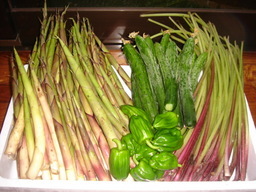 �������������[��