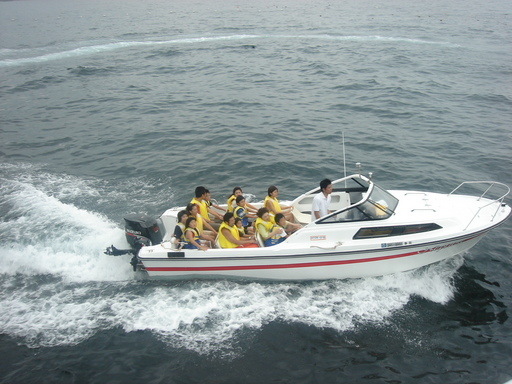 �������������[��