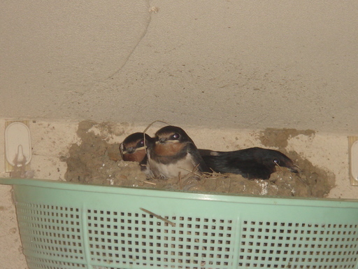 �������������[��