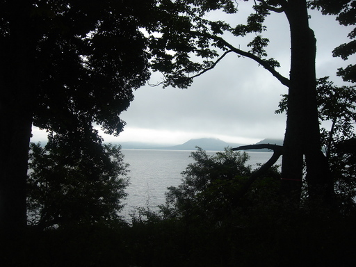 �������������[��