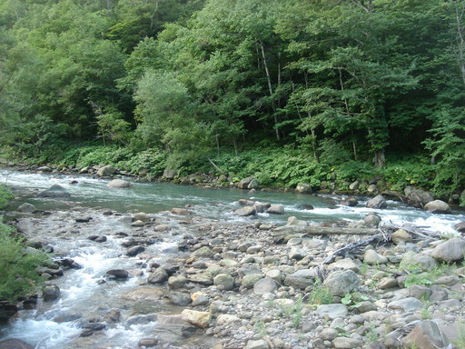 �������������[��