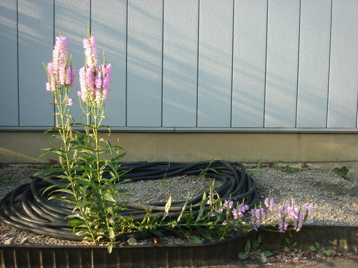 �������������[��