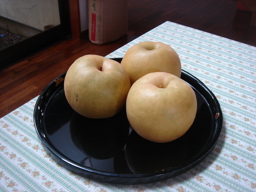 �������������[��