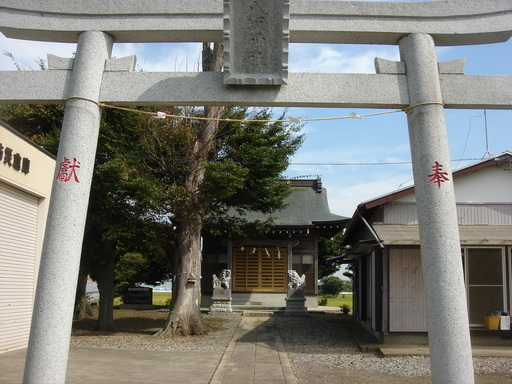 �������������[��