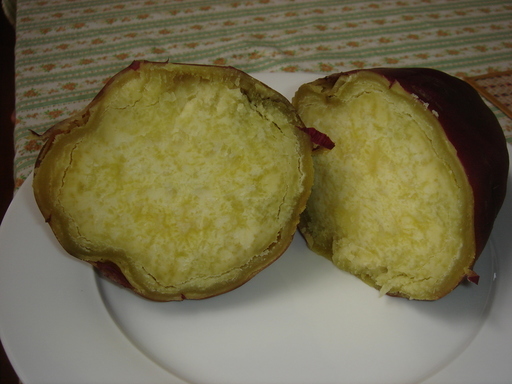 �������������[��