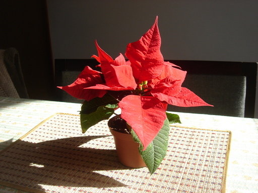 �������������[��